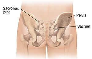 Back view of male buttocks with pelvic bones ghosted in, showing sacroiliac joint.