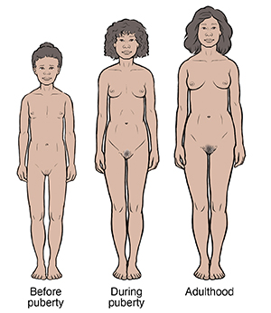 Development of woman from pre-puberty through puberty to adulthood.