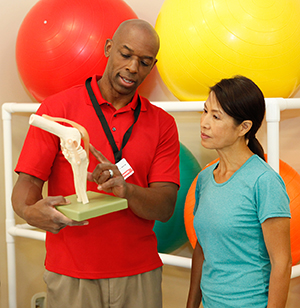 Healthcare provider showing woman a model of a knee joint.