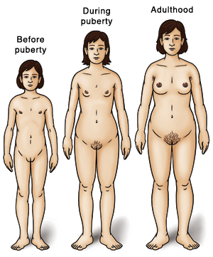Three girls showing development: before puberty, during puberty, and adulthood.
