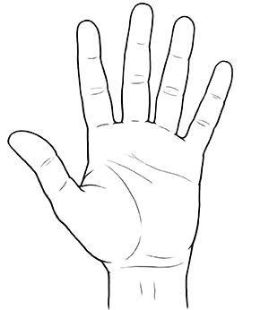 Palm view of hand with fingers splayed.