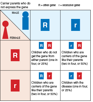 Genetic illustration demonstrating autosomal recessive inheritance