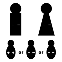 El gráfico muestra los íconos del padre con genes Rh positivo y Rh negativo, la madre con genes Rh positivo y Rh negativo y los íconos de tres bebés. Uno de los bebés tiene dos genes Rh positivos y es Rh positivo. Otro de los bebés tiene un gen Rh positivo y un gen Rh negativo y es Rh positivo. El tercer bebé tiene dos genes Rh negativos y es Rh negativo.