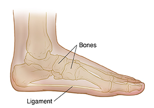 Inside side view of child's foot showing bones and flat arch.